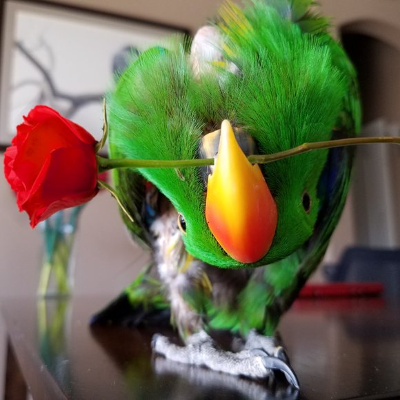 Bird-lovers Shop My Closet With Keyword "BIRD" - Picture 2 of 7